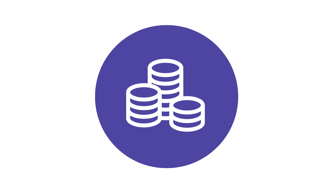 3. Tailored to your budget Icon V2.png