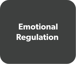 Emotional Regulation.png